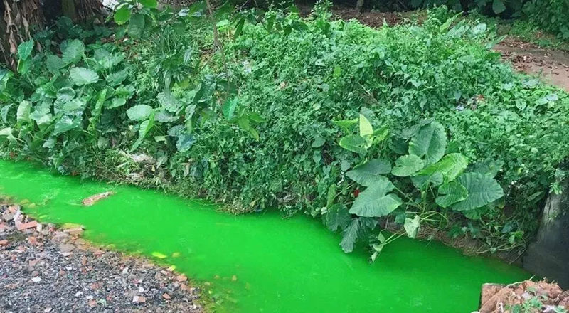 觸目驚心！水全都“染綠”了！多家企業被查處！